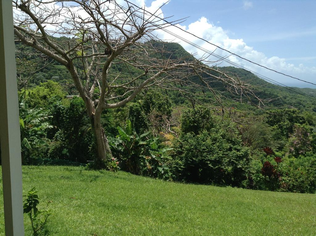 Ceiba Country Inn Fajardo Kültér fotó