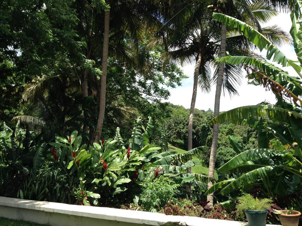 Ceiba Country Inn Fajardo Kültér fotó