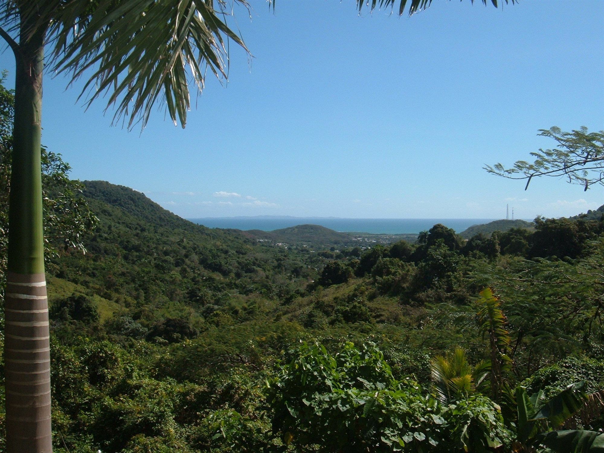 Ceiba Country Inn Fajardo Kültér fotó